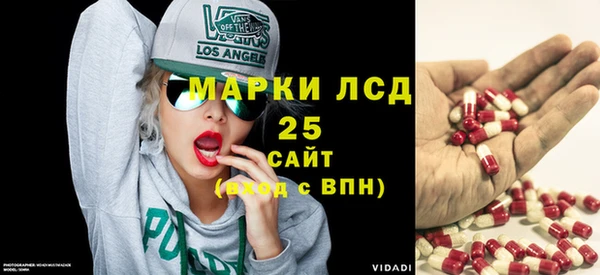 spice Медвежьегорск