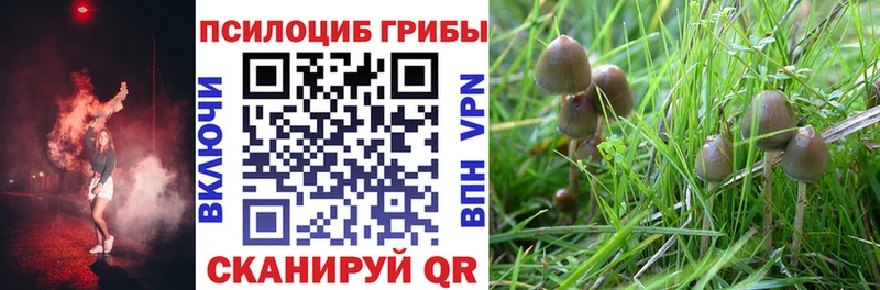 как найти закладки  Малая Вишера  Псилоцибиновые грибы Magic Shrooms 