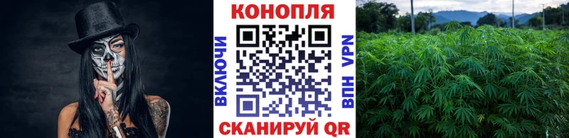 ссылка на мегу   Малая Вишера  МАРИХУАНА план 